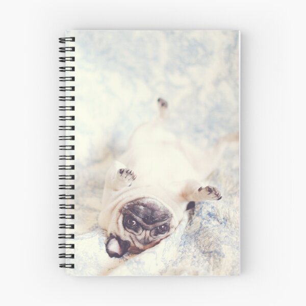Item preview, UpSiDEdOwn Pug designed and sold by NJMphotography.