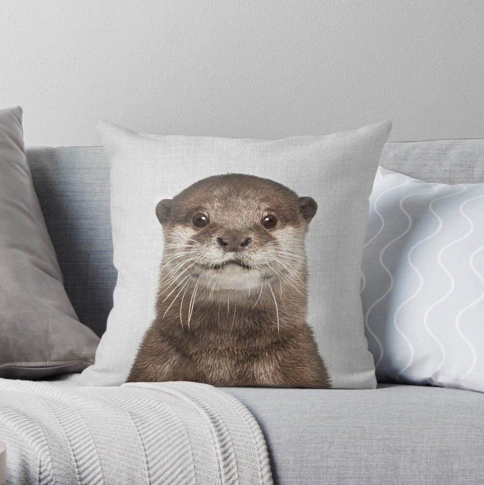 otter pillow