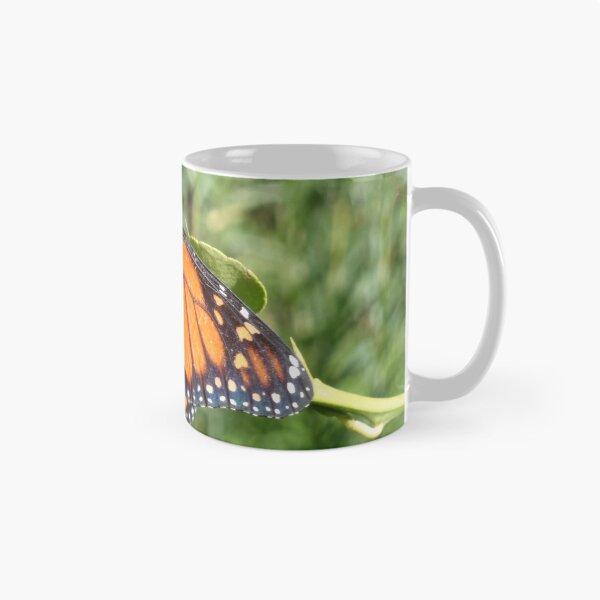 Artikelvorschau, Monarck-Schmetterling entworfen und verkauft von BigAndRed.