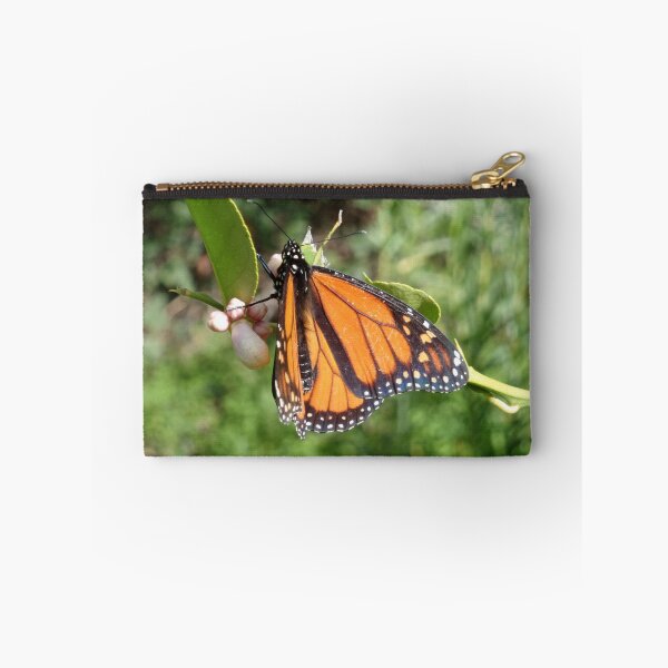 Artikelvorschau, Monarck-Schmetterling entworfen und verkauft von BigAndRed.
