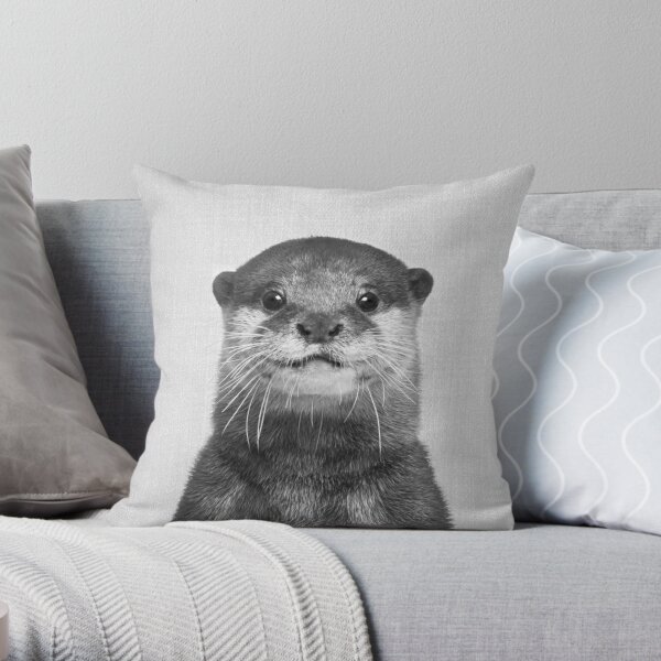 https://ih1.redbubble.net/image.703895802.3443/throwpillow,small,600x-bg,f8f8f8-c,0,120,600,600.u9.jpg