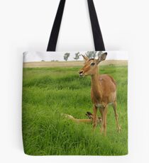 Impalas Tote Bag
