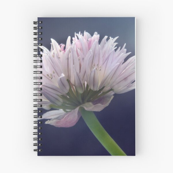 Item preview, Chive designed and sold by Sarah Couzens.