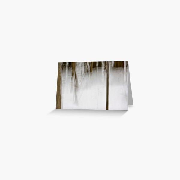 Saplings in Snow Greeting Card