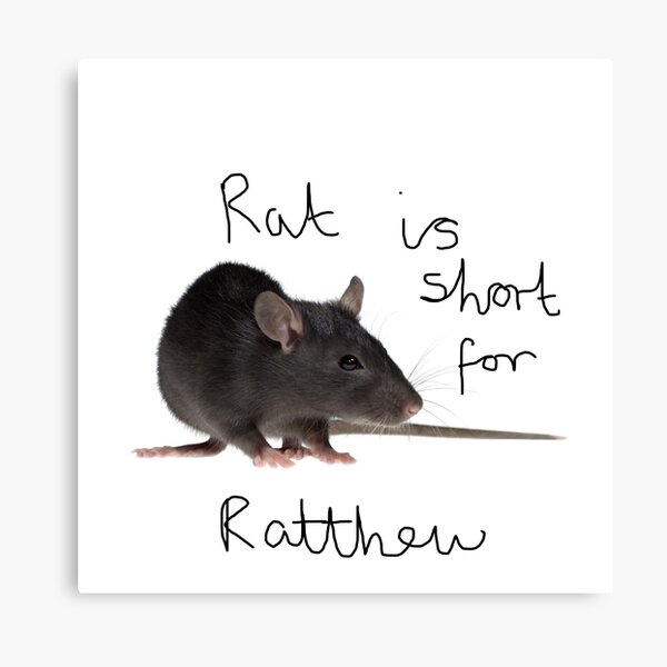 Rat is short for ratthew Canvas Print