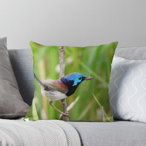 Item preview, Variegated Fairy-Wren designed and sold by Lyle McNamara.