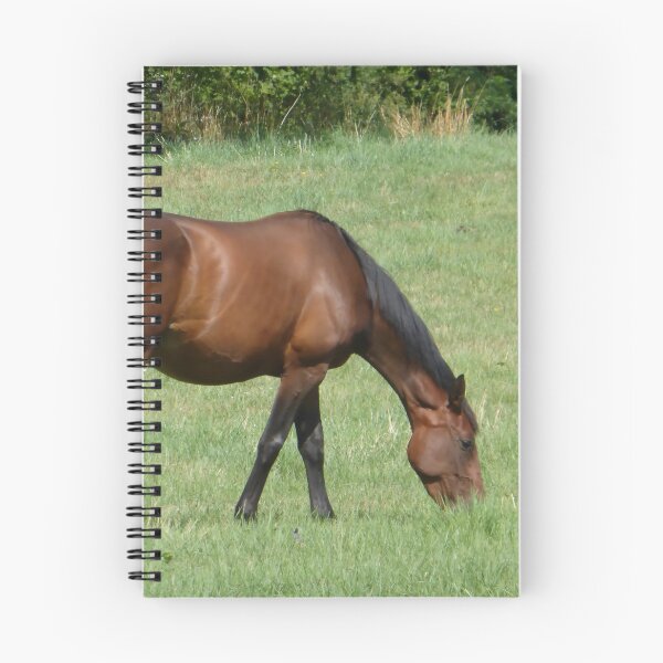 Item preview, Lonely Horse designed and sold by TenelArt.