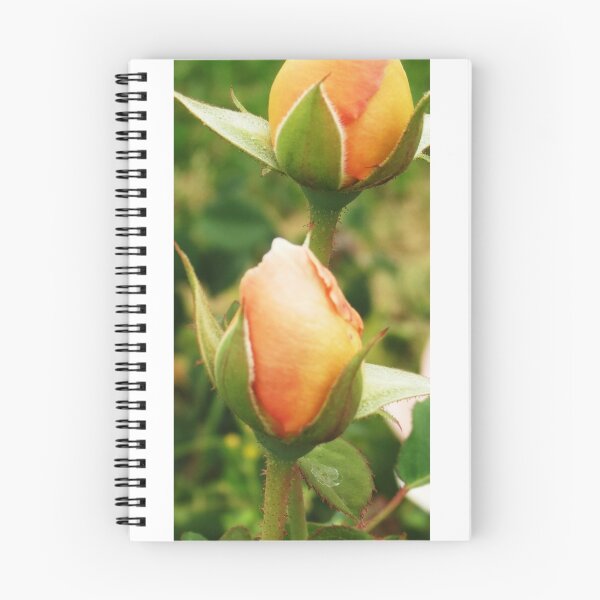 Item preview, Rosebuds designed and sold by Cindy Hitch.