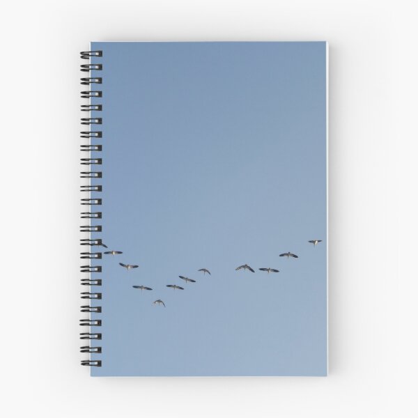 Item preview, The right way designed and sold by TenelArt.