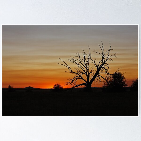 Item preview, Lone Tree designed and sold by Julia Washburn.
