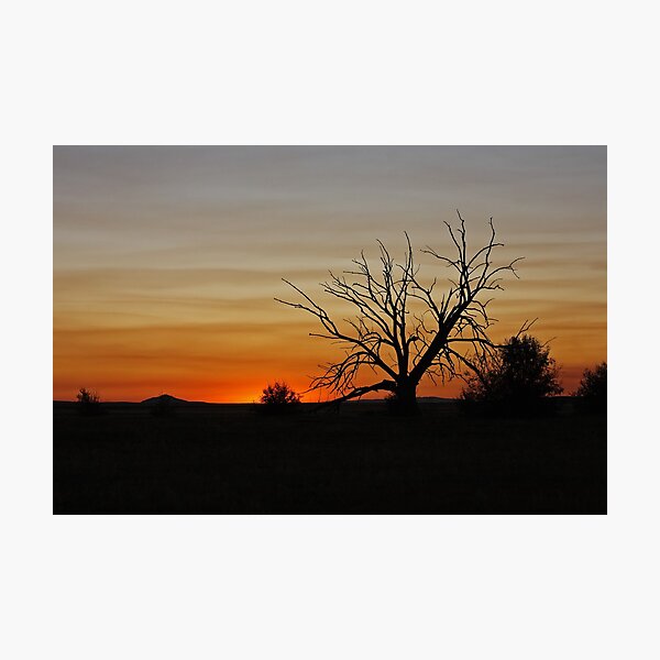 Item preview, Lone Tree designed and sold by Julia Washburn.