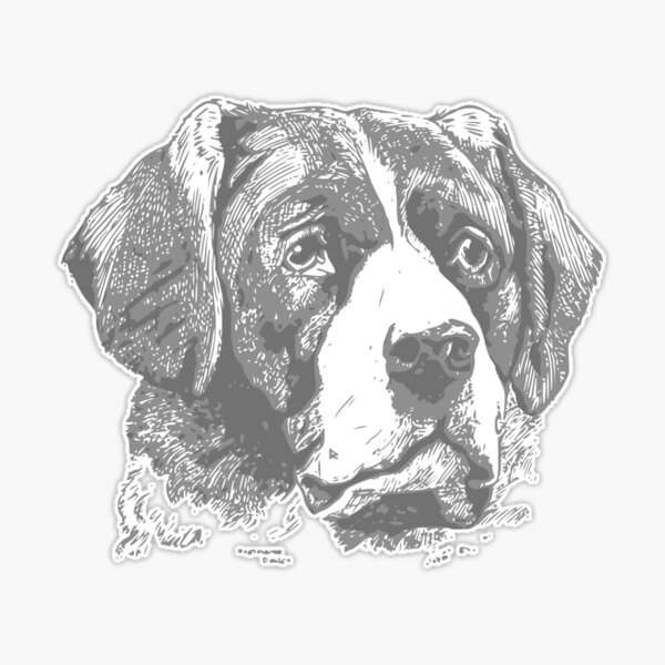 Dog's Face Pencil Sketch