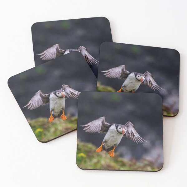 Item preview, Puffin coming in to land designed and sold by iCimages.net.