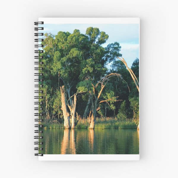 Artikelvorschau, River Trees at Mildura entworfen und verkauft von Cindy Hitch.