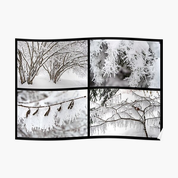 Winter Poster