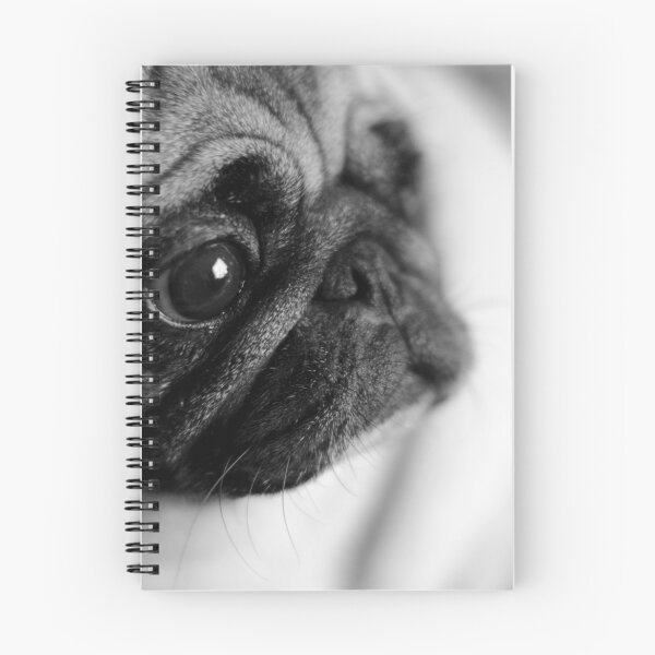 Item preview, Stay with Me designed and sold by NJMphotography.