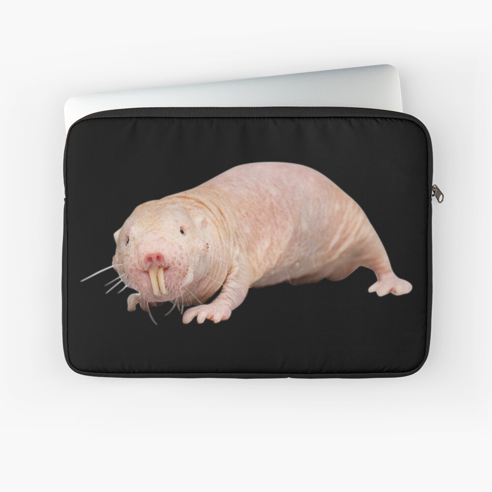 Coque Iphone Rat Taupe Nu Le Nouvel Animal Spirituel De Gina Brooklyn 99 Par Juliatleao Redbubble