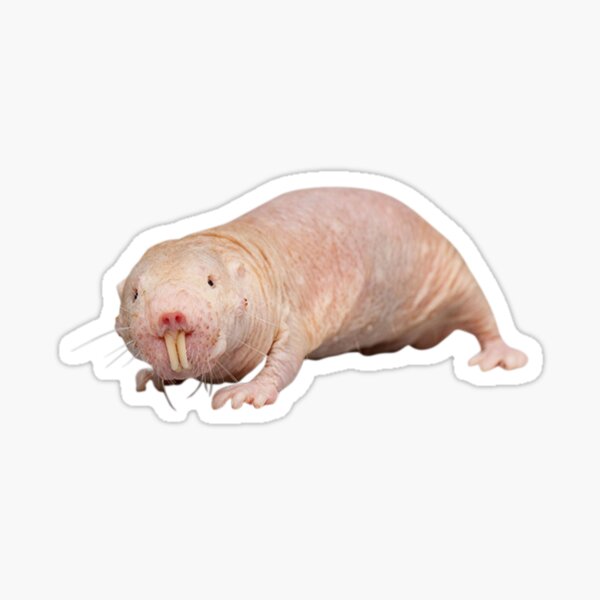 Naked Mole Rat, Gina's New Spirit Animal | Brooklyn 99 Sticker