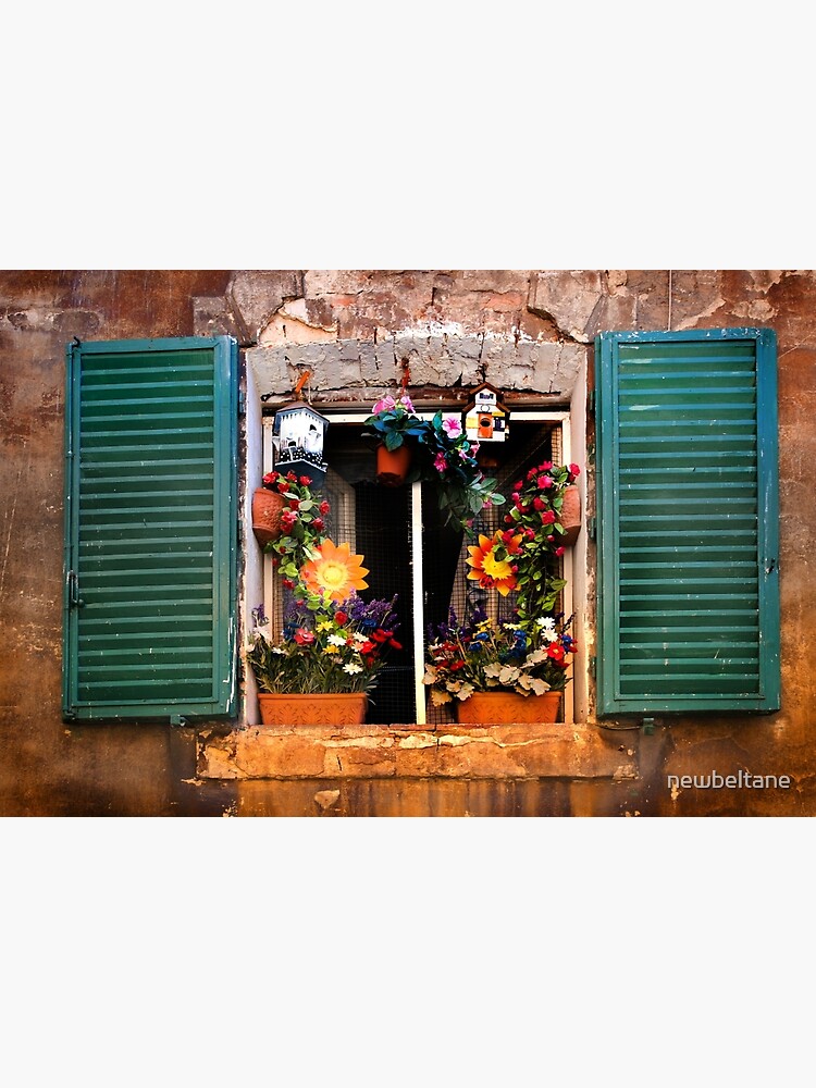 Tuscan window - Siena by newbeltane