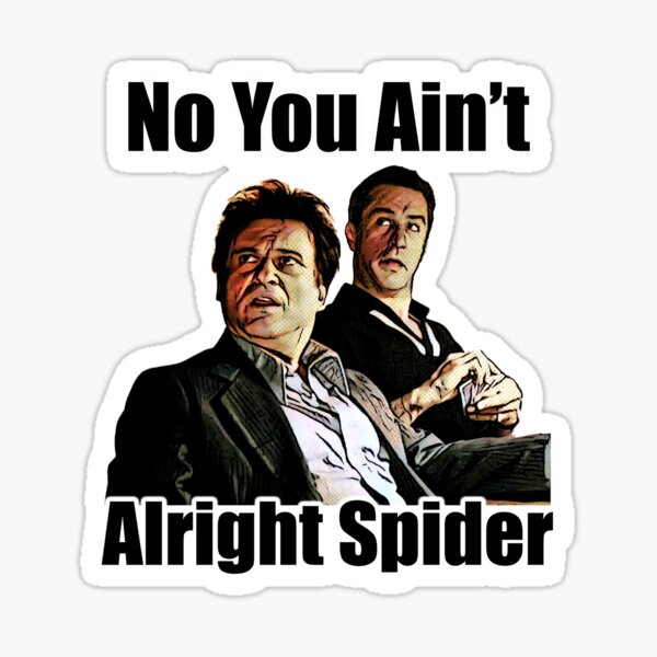 You Aint alright spider Sticker