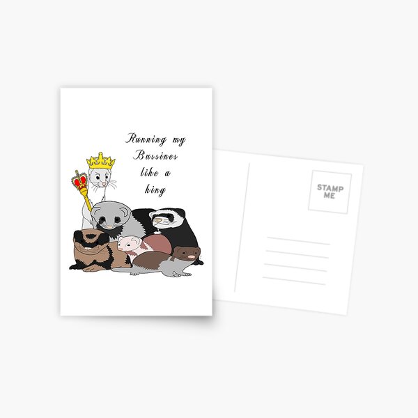 A ferret business Postcard