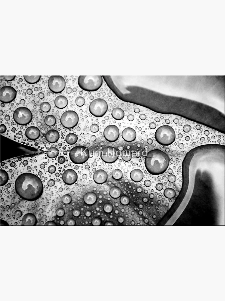 Thumbnail 3 of 3, Poster, Droplets designed and sold by Kym Howard.
