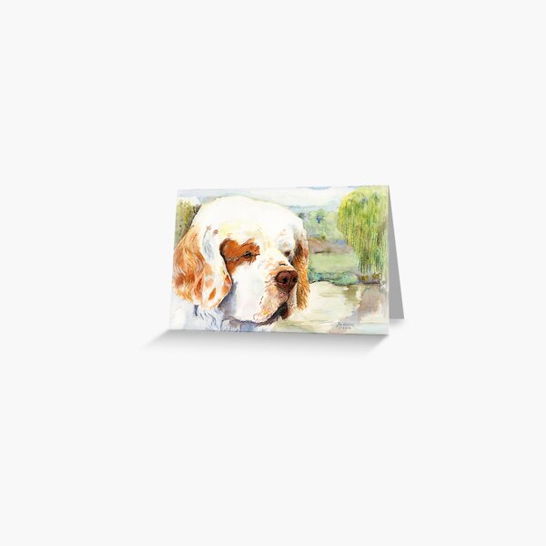 Sal - a favourite Clumber Spaniel Greeting Card