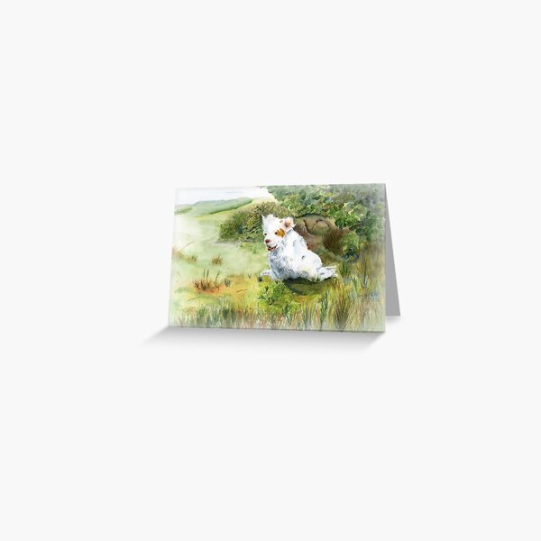 A Clumber Spaniel in the field Greeting Card