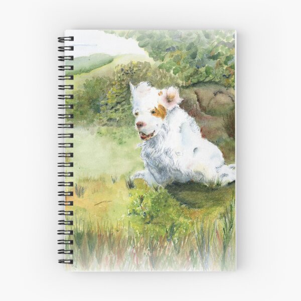 Artikelvorschau, Ein Clumber Spaniel auf dem Gebiet entworfen und verkauft von JAN IRVING - ERINRAC.