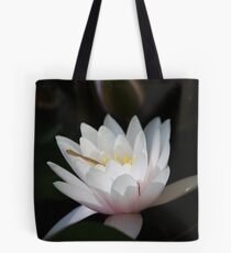 Sunken Gardens Water Lilly _ 0147 Tote Bag