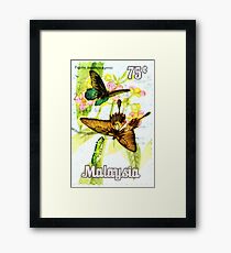 Malaysia Butterfly Print Framed Print