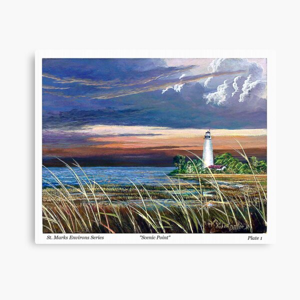 Scenic Point - St. Marks Light Canvas Print