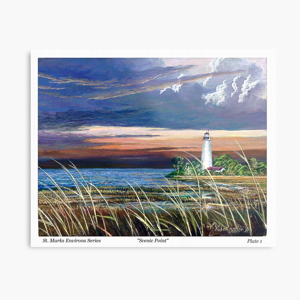 Scenic Point - St. Marks Light Metal Print