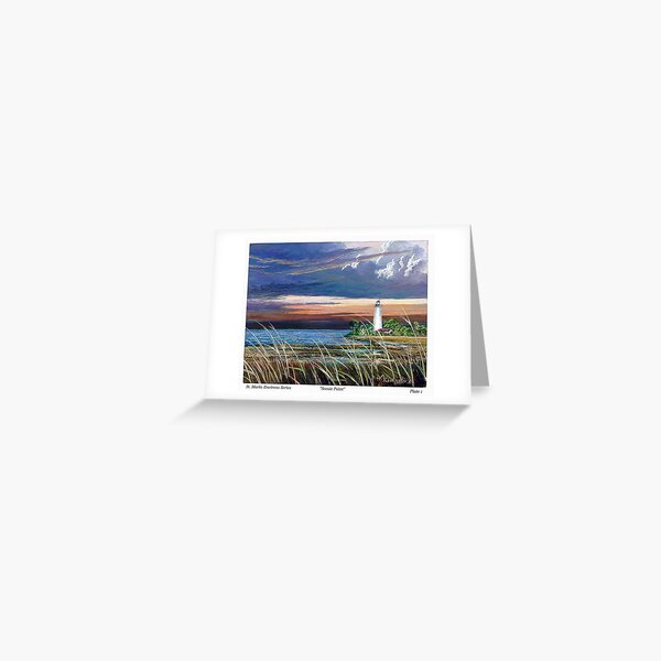 Scenic Point - St. Marks Light Greeting Card