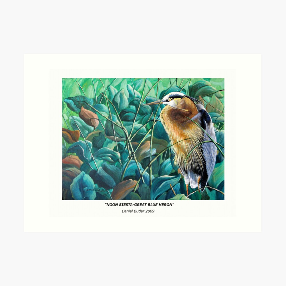 "Noon Siesta-Great Blue Heron" Art Print