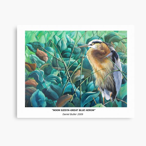 "Noon Siesta-Great Blue Heron" Metal Print