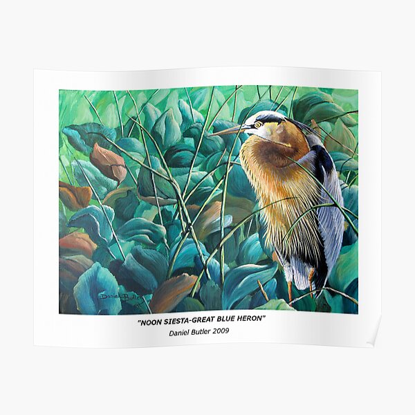 "Noon Siesta-Great Blue Heron" Poster