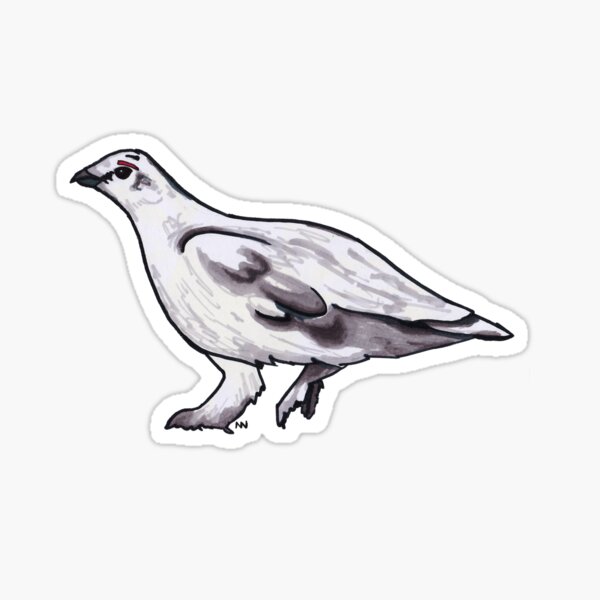 Rock Ptarmigan Sticker