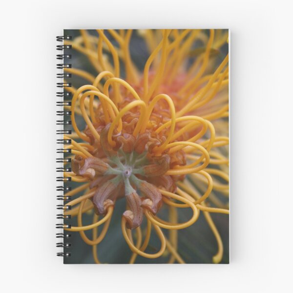 Artikelvorschau, Orange Grevillea Blume entworfen und verkauft von becSamways.