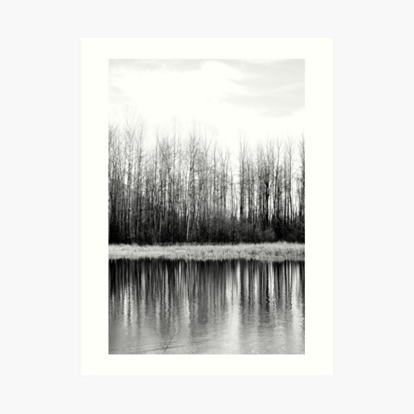 Black and White Art Print