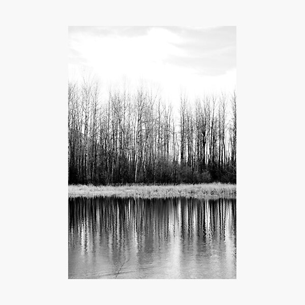 Black and White Photographic Print
