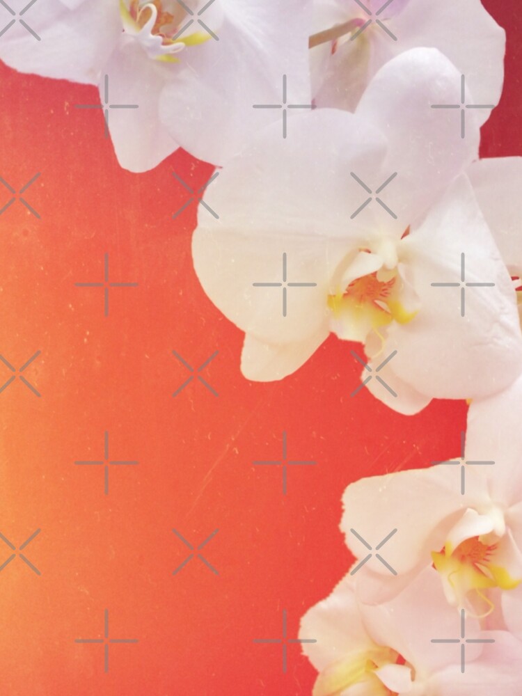 Orange Orchid by DeborahMcGrath