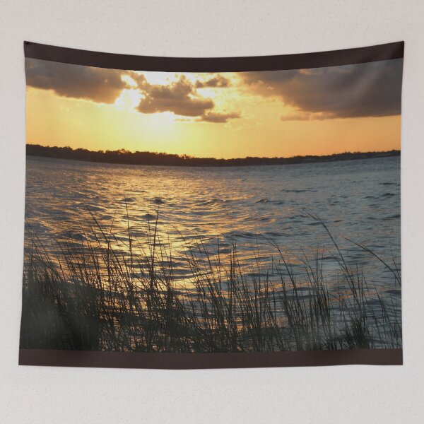 Item preview, St Johns River designed and sold by Bob Hardy.