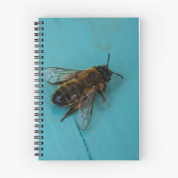 Item preview, Bee designed and sold by chirs1990.