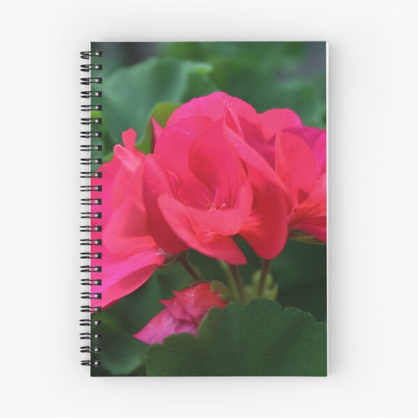 Item preview, Pink Geraniums designed and sold by Gilda Axelrod.