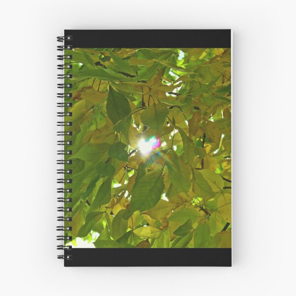 Item preview, Love Shines Through designed and sold by Gilda Axelrod.