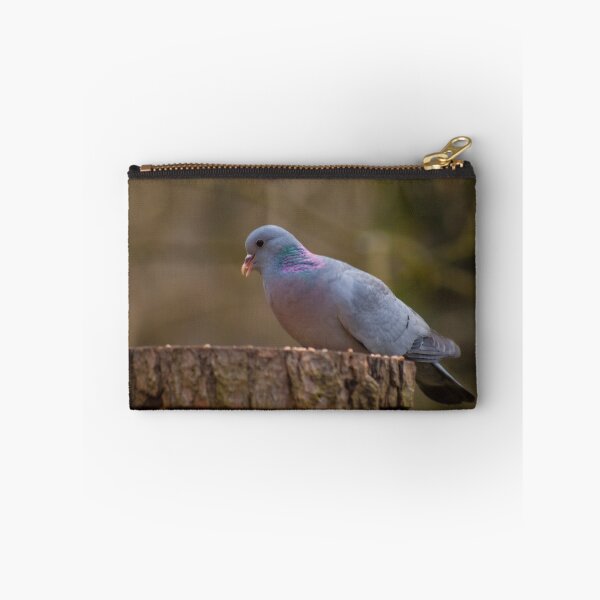 Item preview, Wood pigeon  designed and sold by chirs1990.