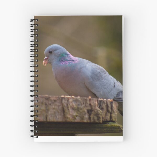 Item preview, Wood pigeon  designed and sold by chirs1990.