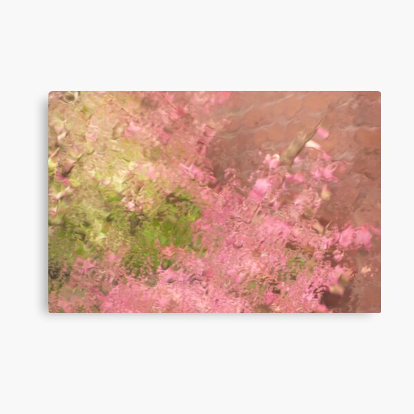 Pink Rain Canvas Print