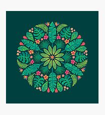 Tropical Sun Photographic Print
